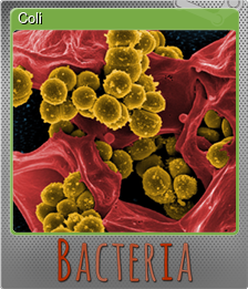 Series 1 - Card 5 of 15 - Coli