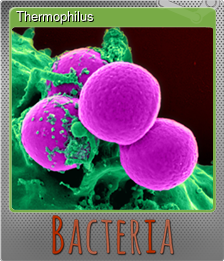 Series 1 - Card 9 of 15 - Thermophilus