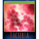 Subtilis