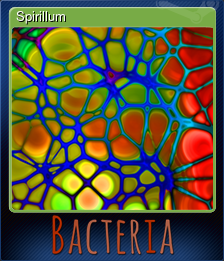 Series 1 - Card 12 of 15 - Spirillum