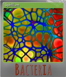 Series 1 - Card 12 of 15 - Spirillum