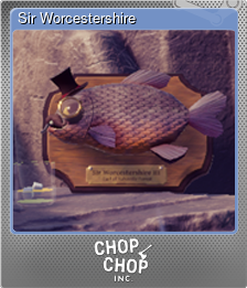 Series 1 - Card 9 of 9 - Sir Worcestershire