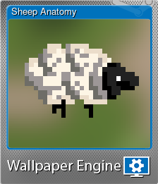 Series 1 - Card 6 of 6 - Sheep Anatomy