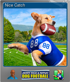 Showcase :: Jerry Rice & Nitus' Dog Football