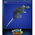 Rat