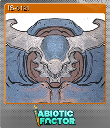 Series 1 - Card 7 of 7 - IS-0121