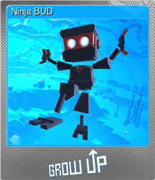 Series 1 - Card 2 of 6 - Ninja BUD