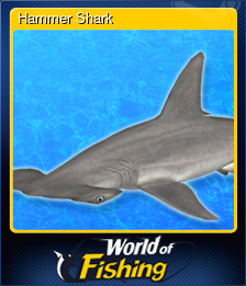 Series 1 - Card 8 of 10 - Hammer Shark