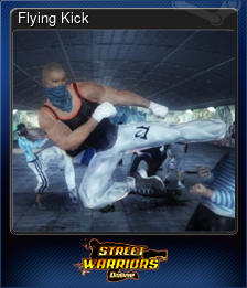 Series 1 - Card 3 of 7 - Flying Kick