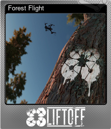 Series 1 - Card 3 of 5 - Forest Flight