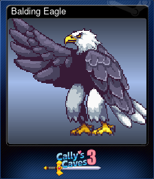 Series 1 - Card 4 of 7 - Balding Eagle