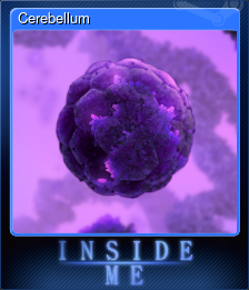 Series 1 - Card 9 of 10 - Cerebellum