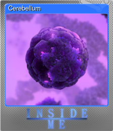 Series 1 - Card 9 of 10 - Cerebellum
