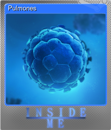 Series 1 - Card 4 of 10 - Pulmones