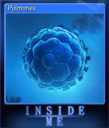 Series 1 - Card 4 of 10 - Pulmones