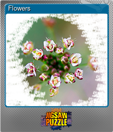 Series 1 - Card 5 of 5 - Flowers