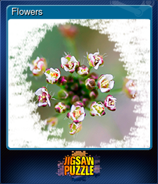 Series 1 - Card 5 of 5 - Flowers