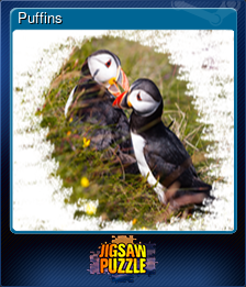 Series 1 - Card 2 of 5 - Puffins
