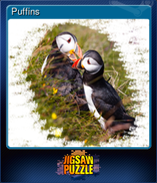 Puffins