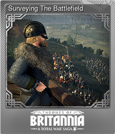 Series 1 - Card 11 of 13 - Surveying The Battlefield