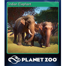 Indian Elephant