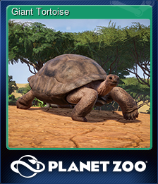 Series 1 - Card 5 of 15 - Giant Tortoise