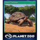 Giant Tortoise