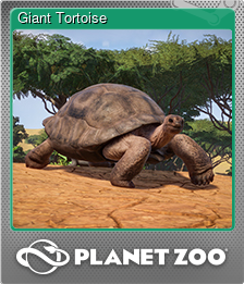 Series 1 - Card 5 of 15 - Giant Tortoise
