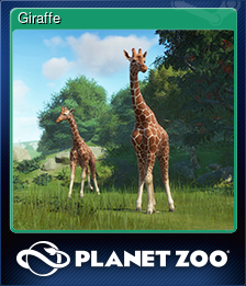 Series 1 - Card 6 of 15 - Giraffe