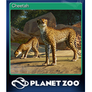 Cheetah