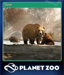 Series 1 - Card 2 of 15 - Bear