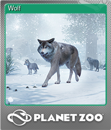 Series 1 - Card 14 of 15 - Wolf