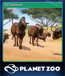 Series 1 - Card 13 of 15 - Wildebeest