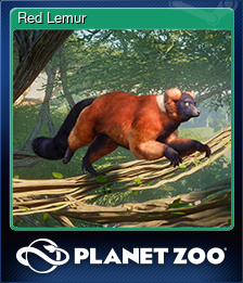 Series 1 - Card 10 of 15 - Red Lemur