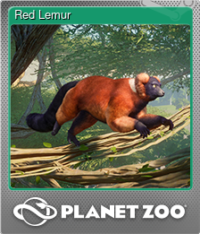 Series 1 - Card 10 of 15 - Red Lemur