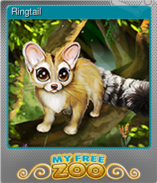 Series 1 - Card 10 of 15 - Ringtail