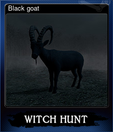 Black goat