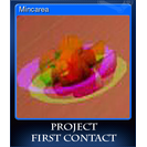Mincarea