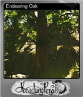 Endearing Oak