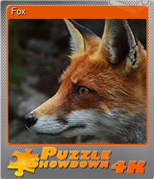 Series 1 - Card 4 of 15 - Fox