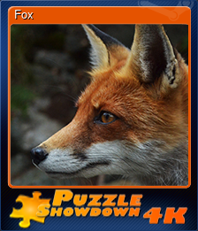 Series 1 - Card 4 of 15 - Fox