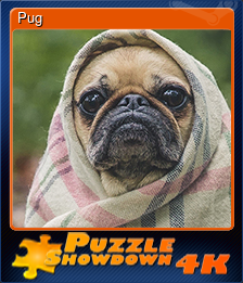 Series 1 - Card 10 of 15 - Pug