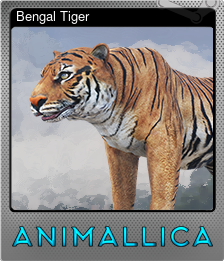 Series 1 - Card 1 of 9 - Bengal Tiger
