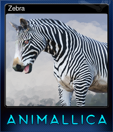 Series 1 - Card 6 of 9 - Zebra