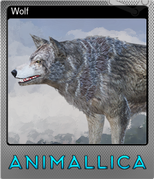 Series 1 - Card 8 of 9 - Wolf