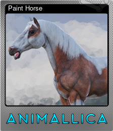Series 1 - Card 4 of 9 - Paint Horse