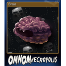 Brain