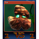 Pet
