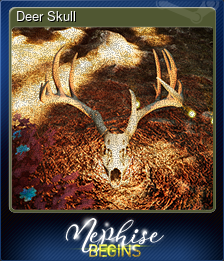 Series 1 - Card 1 of 5 - Deer Skull