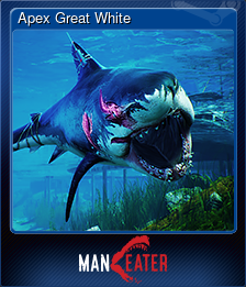 Series 1 - Card 5 of 7 - Apex Great White